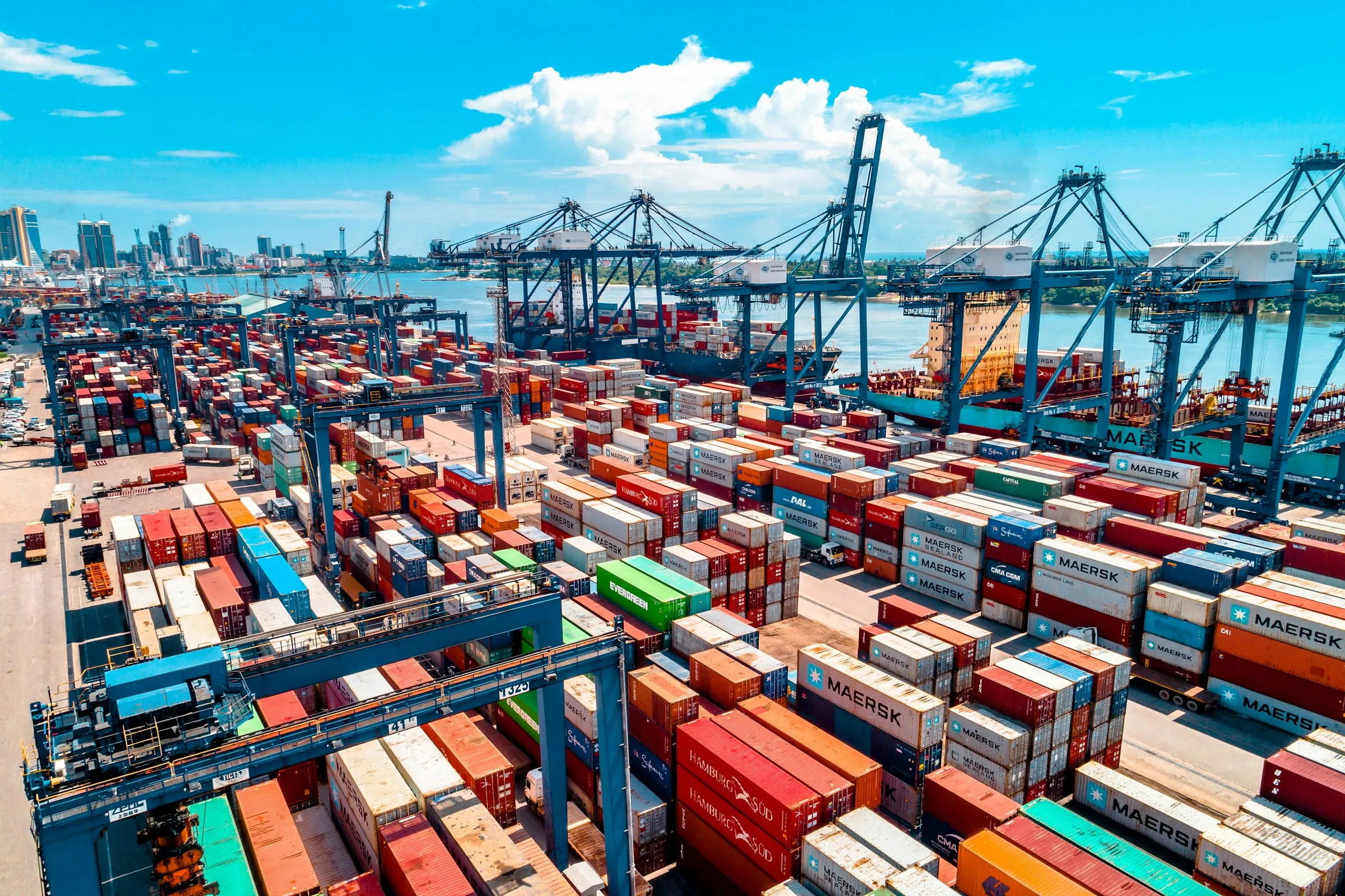 Shipping containers coordinated by an agricultural product exporter from India