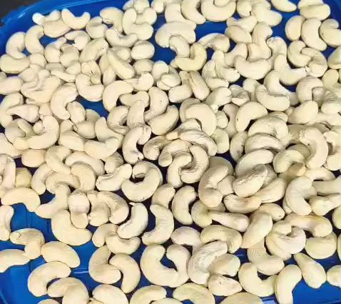 CASHEW NUTS W320 (POPULAR WHOLE)