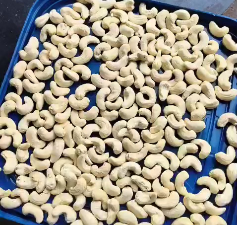 CASHEW NUTS W400